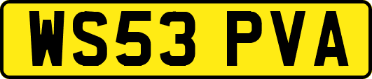 WS53PVA