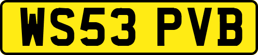 WS53PVB