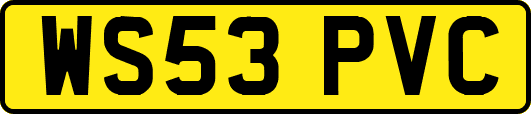 WS53PVC