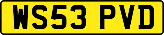 WS53PVD