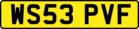WS53PVF