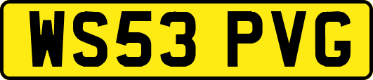 WS53PVG
