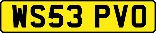 WS53PVO