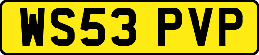 WS53PVP