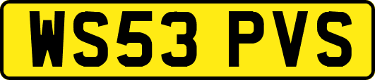 WS53PVS