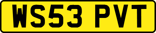 WS53PVT