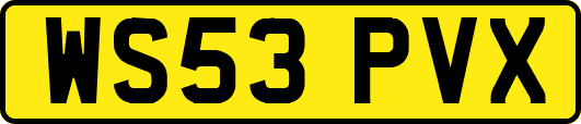 WS53PVX