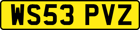 WS53PVZ