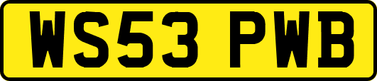 WS53PWB