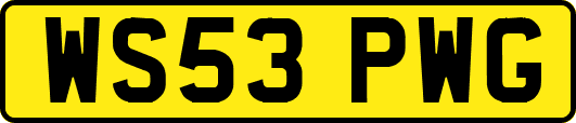 WS53PWG
