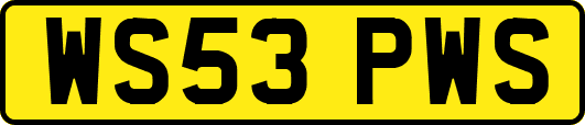 WS53PWS