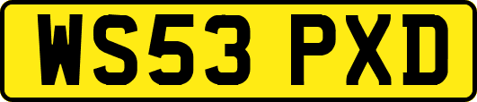 WS53PXD