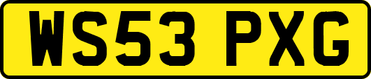 WS53PXG