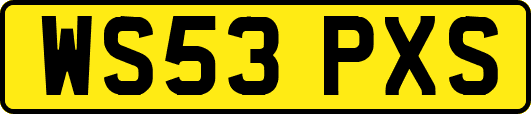 WS53PXS
