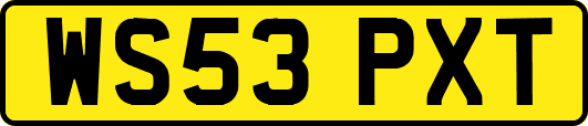 WS53PXT