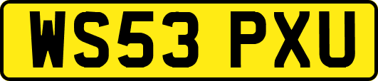 WS53PXU