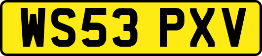 WS53PXV