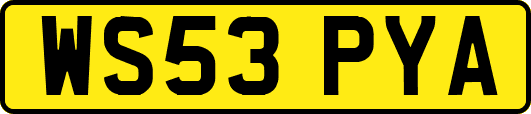 WS53PYA