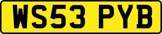 WS53PYB