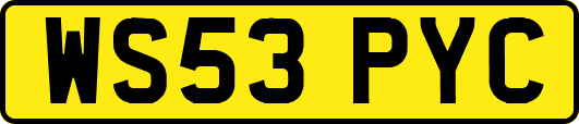 WS53PYC