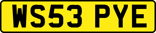 WS53PYE