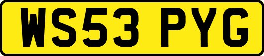 WS53PYG