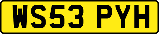 WS53PYH