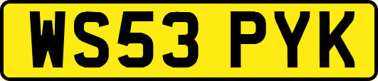 WS53PYK