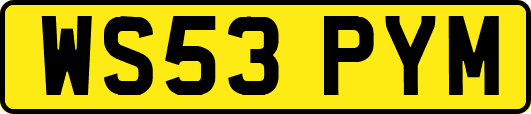WS53PYM