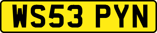 WS53PYN