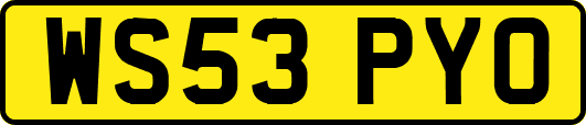 WS53PYO