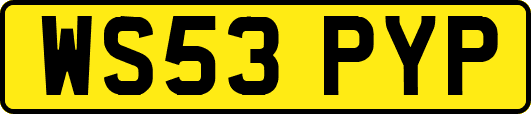 WS53PYP