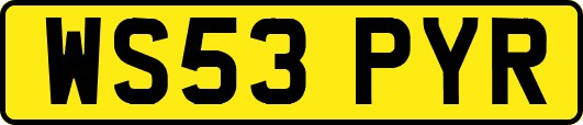 WS53PYR