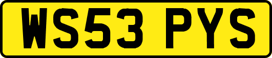 WS53PYS
