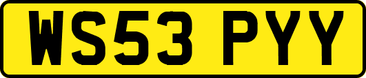 WS53PYY