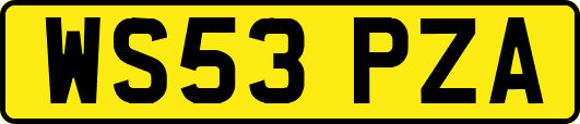 WS53PZA