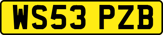 WS53PZB