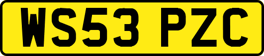 WS53PZC