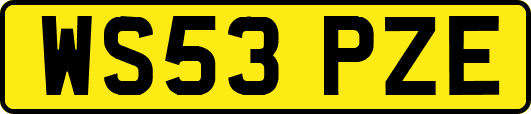WS53PZE