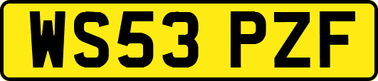 WS53PZF