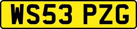 WS53PZG