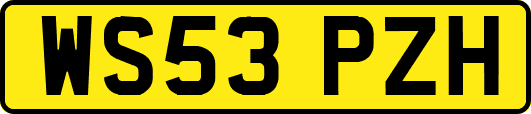 WS53PZH