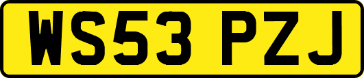 WS53PZJ