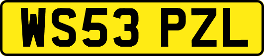 WS53PZL