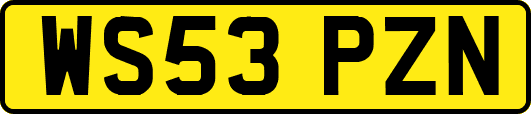 WS53PZN