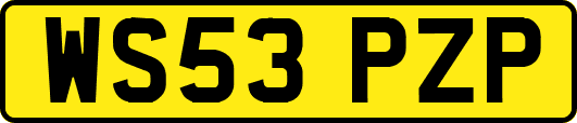 WS53PZP