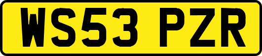 WS53PZR