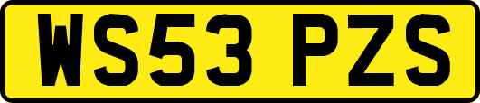 WS53PZS