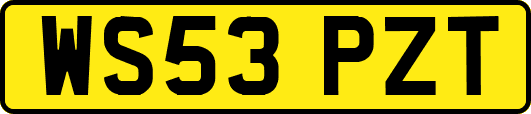 WS53PZT