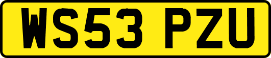 WS53PZU
